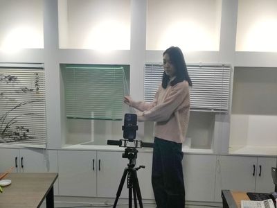 小窗簾撬動大產業，電商連通致富路——窗飾產業的興旺發展與電商轉型之路