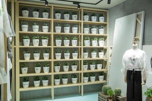 滬上文藝實驗室揭牌 以文化經(jīng)紀(jì)人服務(wù)為引擎，開啟文創(chuàng)產(chǎn)業(yè)跨界探索新篇章